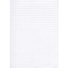 Fiches Bristol 125 x 200 mm - Blanc quadrillé ELVE B12513