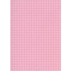 Fiches Bristol A5 - 148 x 210 mm - Rose quadrillé ELVE B14813R