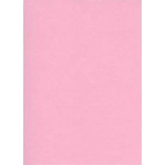 Fiches Bristol Unies A3 - 297 x 420 mm - Rose : ELVE Lot de 100 Visuel