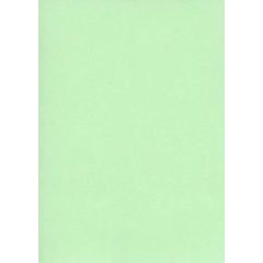 Fiches Bristol Unies A3 - 297 x 420 mm - Vert : ELVE Lot de 100 Modèle