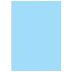 Fiches Bristol Unies A4 - 297 x 210 mm - Bleu : ELVE Lot de 100 Visuel