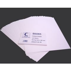 Fiches Bristol - 500 x 650 mm - Blanc uni ELVE B5065 Lot de 25 modèle