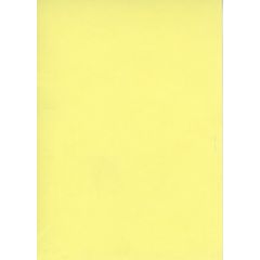 Fiches Bristol - Jaune uni - 125 x 200 mm ELVE B125J