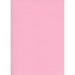 Fiches Bristol - 125 x 200 mm - Rose uni ELVE B125R modèle