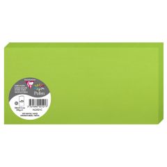 Photo POLLEN : Carte double de papier - Format DL - Vert menthe 2521C