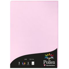 Photo Feuille de couleur Rose dragée 210 x 297 mm A4 POLLEN 4213C