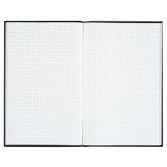 LE DAUPHIN 652D : Registre VS - 200 pages quadrillées sans foliotage - 297 x 210 mm