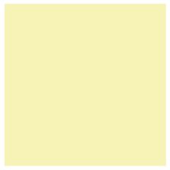 Feuille de papier dessin Mi-teintes Citron pastel 500 x 650 mm : CANSON