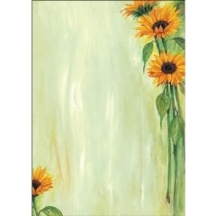 SIGEL DP694 : Lot de 25 feuilles de papier - Tournesols Papier de présentation