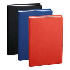 Agenda 2025 - Affaires - 100 x 150 mm - Assortiment : QUO VADIS image
