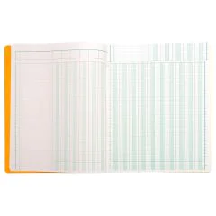 Registre comptable - 16  colonnes- 320 x 250 mm (EXACOMPTA 14160E Journal)
