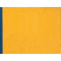 Registre à têtes paresseuses - 15 colonnes 100 pages - 280 x 380 mm : ELVE 187151