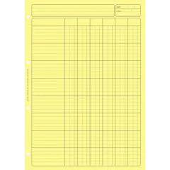 Bloc Audit Jaune à 6 colonnes avec en-tête - Feuille de travail  (2661 ELVE)