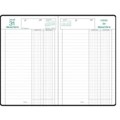 Agenda 2025 Recettes et Dépenses EXACOMPTA 135 x 210 mm Modèle