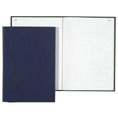 Registre de 200 pages quadrillées et foliotées A4 LE DAUPHIN 397207D