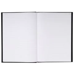 Registre de 200 pages lignées et foliotées - 297 x 210 mm LE DAUPHIN 397209D