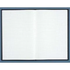 Registre - 400 pages quadrillées - 390 x 255 mm - LE DAUPHIN  image