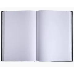 Registre - 600 pages quadrillées et numérotées - 390 x 255 mm - LE DAUPHIN intérieur