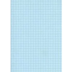 Fiches Bristol Quadrillées - 105 x 148 mm A6 - Bleu ELVE B10513B