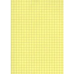Fiches Bristol - 125 x 200 mm - Jaune quadrillé ELVE B12513J jaune