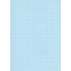 Fiches Bristol - 75 x 125 mm - Bleu quadrillé ELVE B7513B bleu