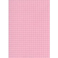 Fiches Bristol - 75 x 125 mm - Rose quadrillé ELVE B7513R rose