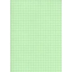 Fiches Bristol - 75 x 125 mm - Vert quadrillé ELVE B7513V vert
