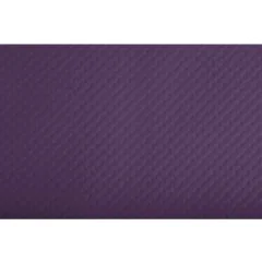 Sets de Table en papier - Aubergine : COGIR Lot de 500 Visuel