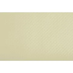 Lot de 500 Sets de Table Restaurant - Ivoire : COGIR Visuel