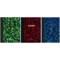 Couleurs Echéancier mensuel - Registre marbré - 297 x 210 mm ELVE