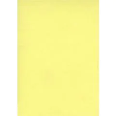 Fiches Bristol Unies - 75 x 125 mm - Jaune : ELVE Lot de 100 Visuel