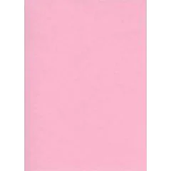 Fiches Bristol Unies A3 - 297 x 420 mm - Rose : ELVE Lot de 100 Visuel