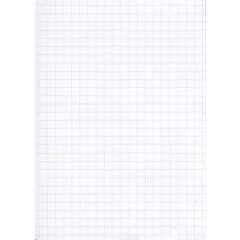 Lot de 100 Fiches Bristol A6 - 105 x 148 mm - Blanc quadrillé ELVE B10513 Papeterie blanc