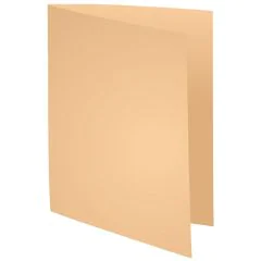 Lot de 100 Chemises - 320 x 240 mm - Bulle EXACOMPTA Forever 180 modèle
