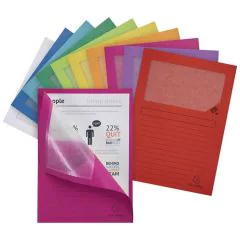 Lot de 100 Chemises à fenêtre - Assortiment de couleurs EXACOMPTA Forever Modèle