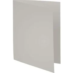 Lot de 100 Chemises pour dossiers - Gris : EXACOMPTA Forever 170 Visuel