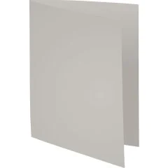 Lot de 100 Chemises pour dossiers - Gris : EXACOMPTA Forever 220 Visuel