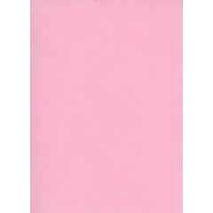 Fiches Bristol - 125 x 200 mm - Rose uni ELVE B125R modèle