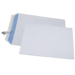 Lot de 500 Pochettes d'expédition ECO sans fenêtre B5 - 176 x 250 mm : GPV
