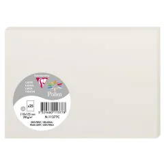 Photo POLLEN Carte Gris perle 110 x 155 mm C6 11377C Clairefontaine