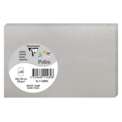 Photo Carte en papier POLLEN  82 x 128 mm - Argent (Carterie et loisirs créatifs) 11489C 
