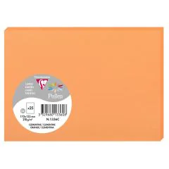 Photo POLLEN Carte Clémentine 110 x 155 mm C6 1336C Clairefontaine
