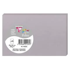 Photo Carte en papier POLLEN 82 x 128 mm - Gris Koala   1432C 