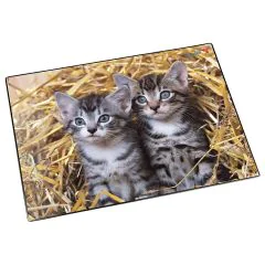 Sous-mains de bureau - 530 x 400 mm - Chat dans la paille LAUFER 46637 Image