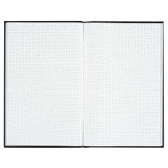 LE DAUPHIN 653D : Registre VS de 300 pages quadrillées sans foliotage - 297 x 210 mm