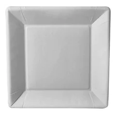 Assiette jetable en carton - 225 x 225 mm PAP STAR Pure