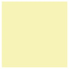 Feuille de papier dessin Mi-teintes Citron pastel 500 x 650 mm : CANSON